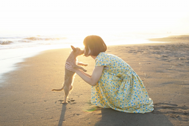 自分らしさを育てる小さな問いかけ